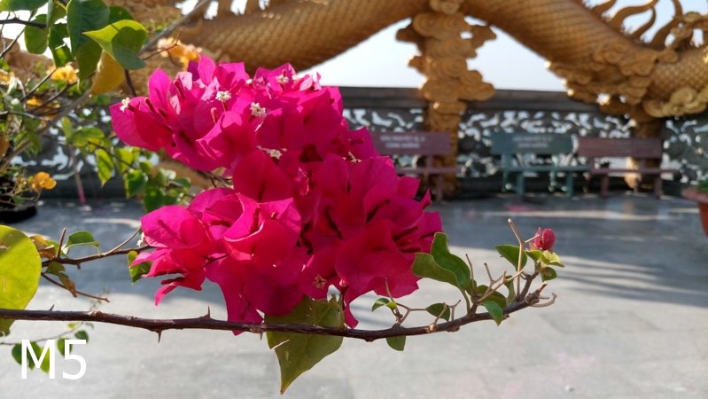 So sánh camera Samsung A5 (2016), Sony M5, OPPO R7s 40 So sánh camera Samsung A5 (2016), Sony M5, OPPO R7s 40