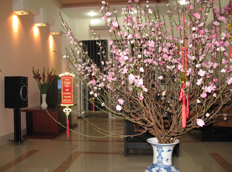 Để đào nở nhanh, trước khi cắm vào lọ, bạn hơ gốc đào qua lửa