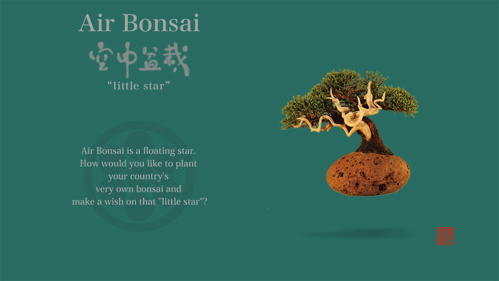 Dự án Air Bonsai rất được nhiều người ủng hộ
