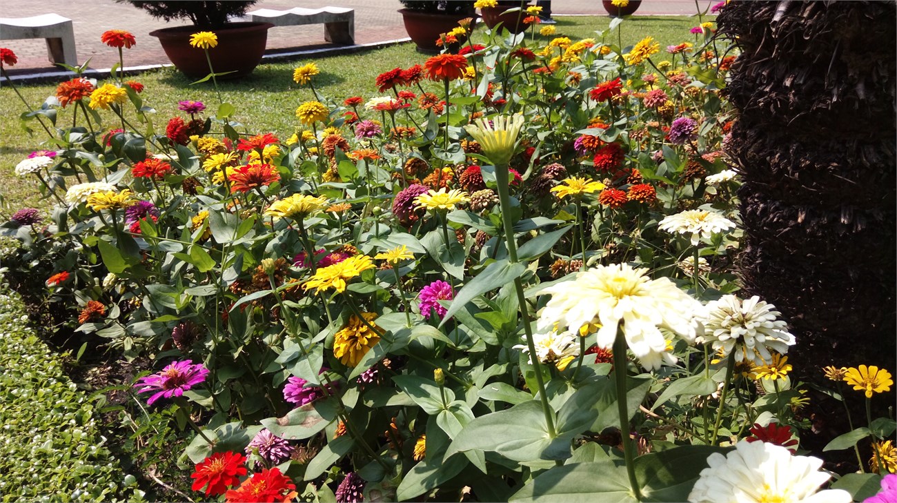 ảnh chụp HTC One E9 dual 