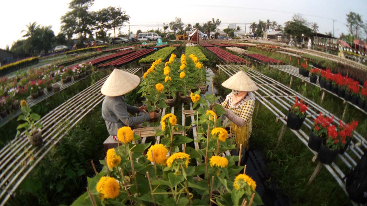 mobiistarprimexgrand43