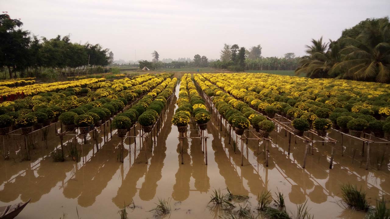 mobiistarprimexgrandcamera1