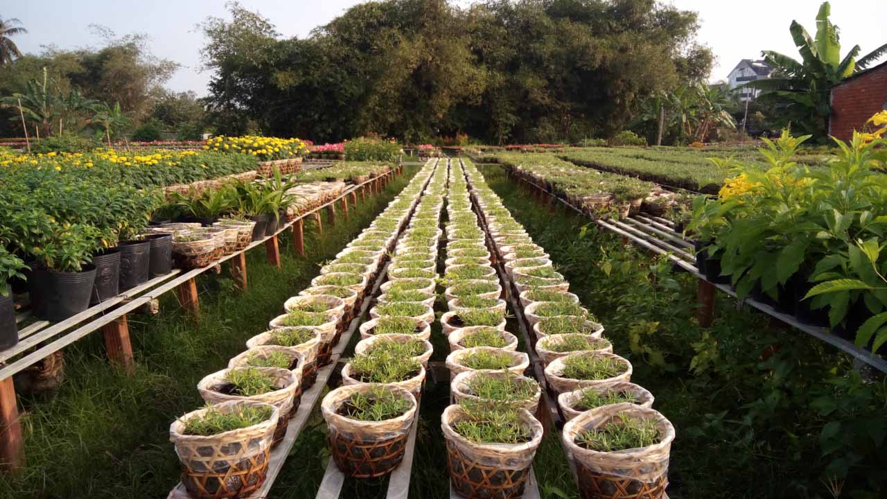 mobiistarprimexgrandcamera4