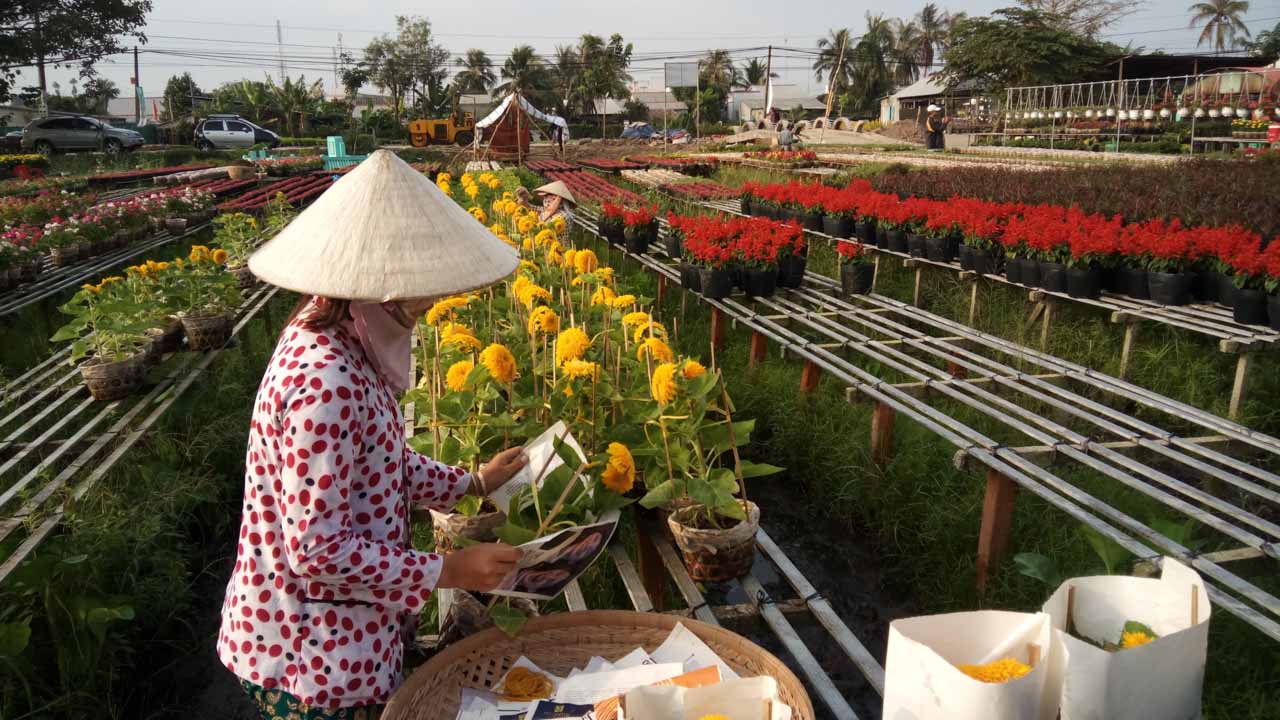 mobiistarprimexgrandcamera7