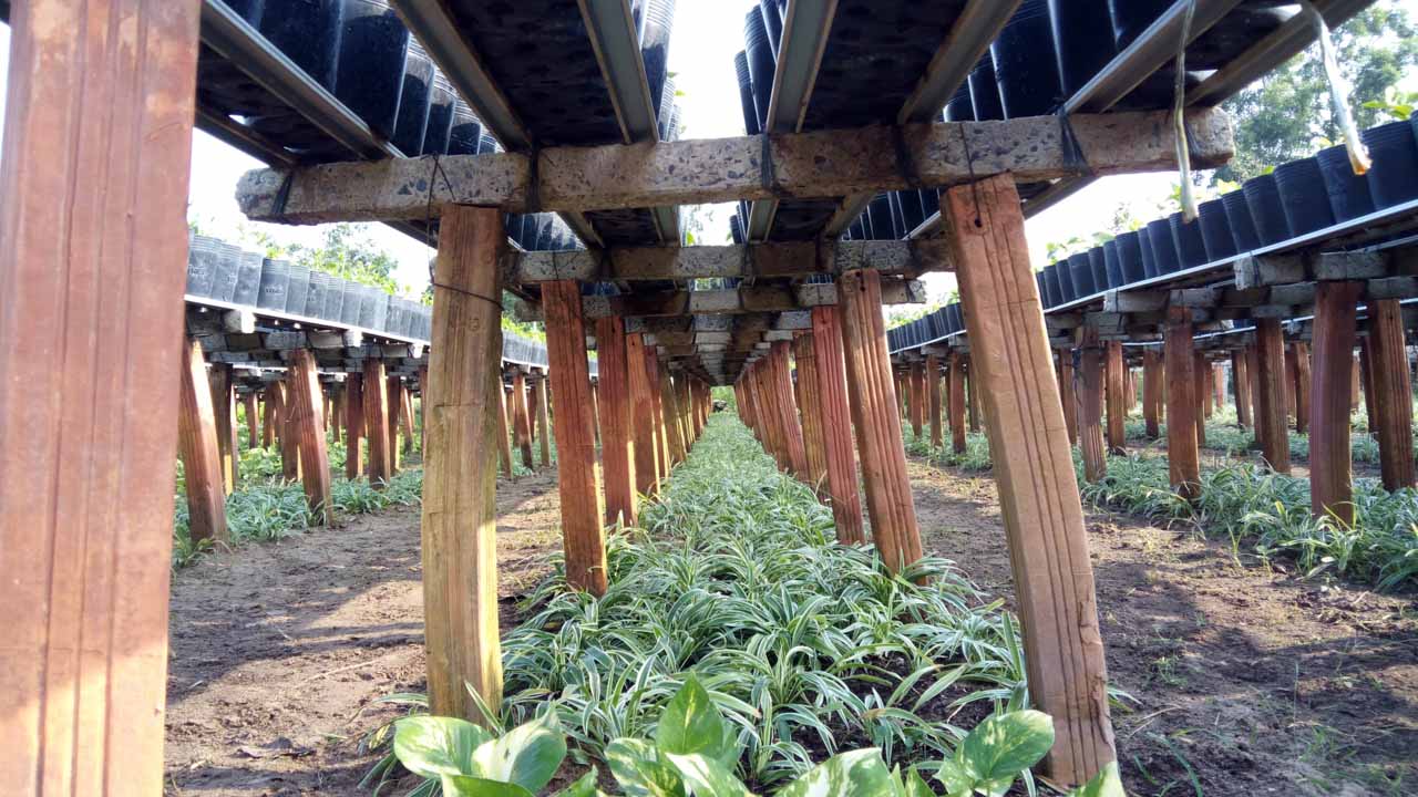 mobiistarprimexgrandcamera9