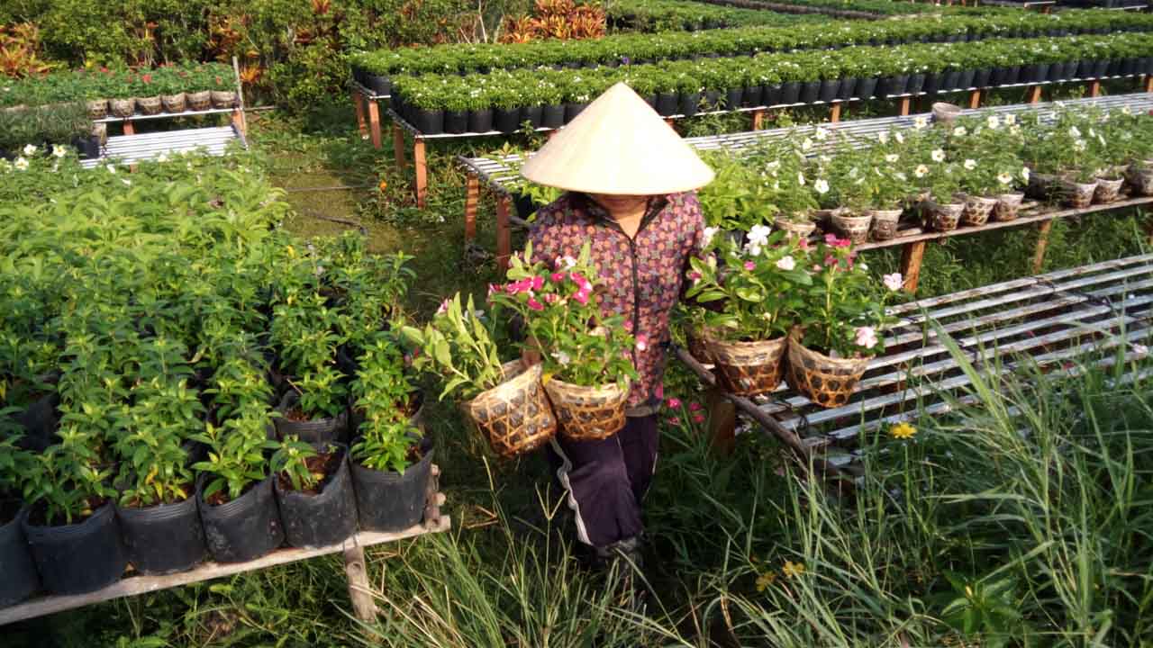 mobiistarprimexgrand11 mobiistarprimexgrand11