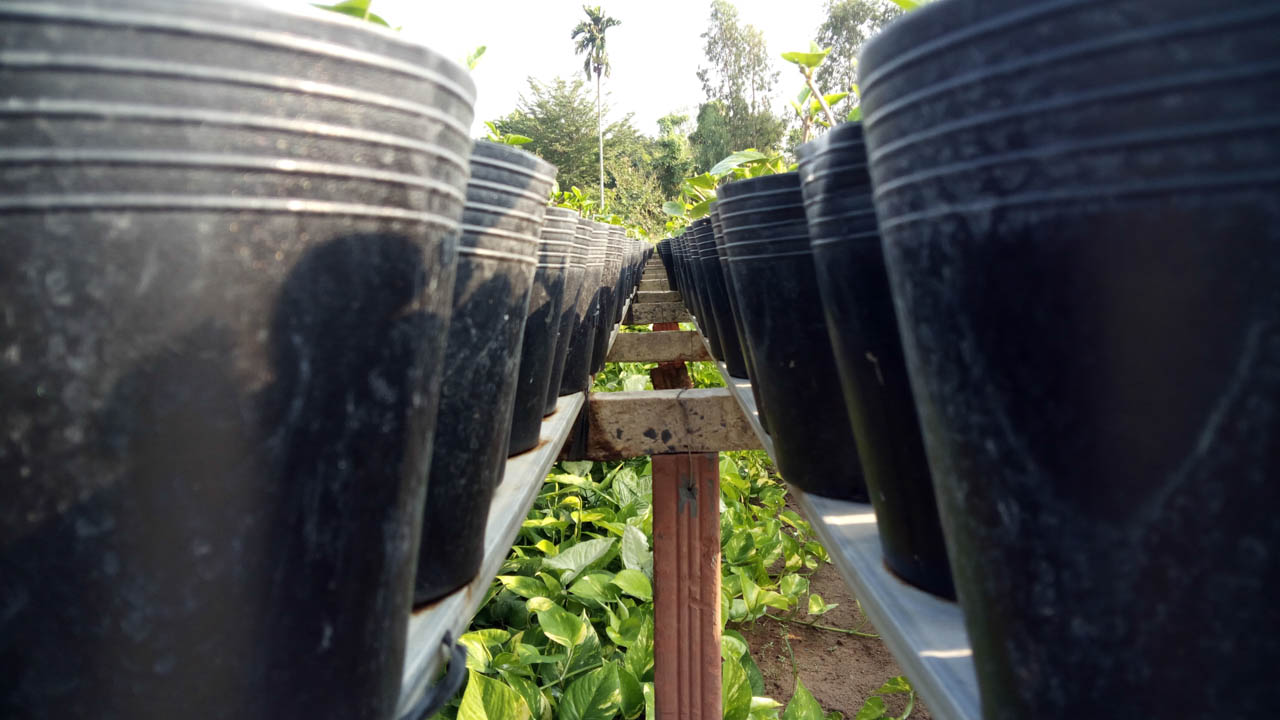 mobiistarprimexgrand12 mobiistarprimexgrand12