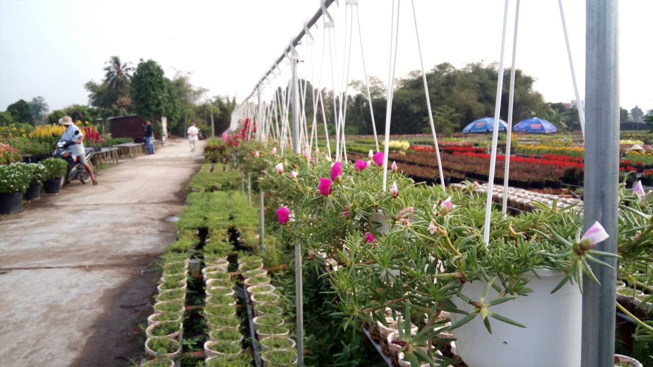 mobiistarprimexgrand16 mobiistarprimexgrand16