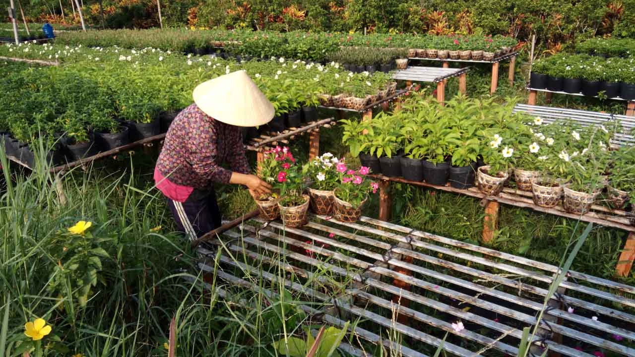 mobiistarprimexgrand17 mobiistarprimexgrand17