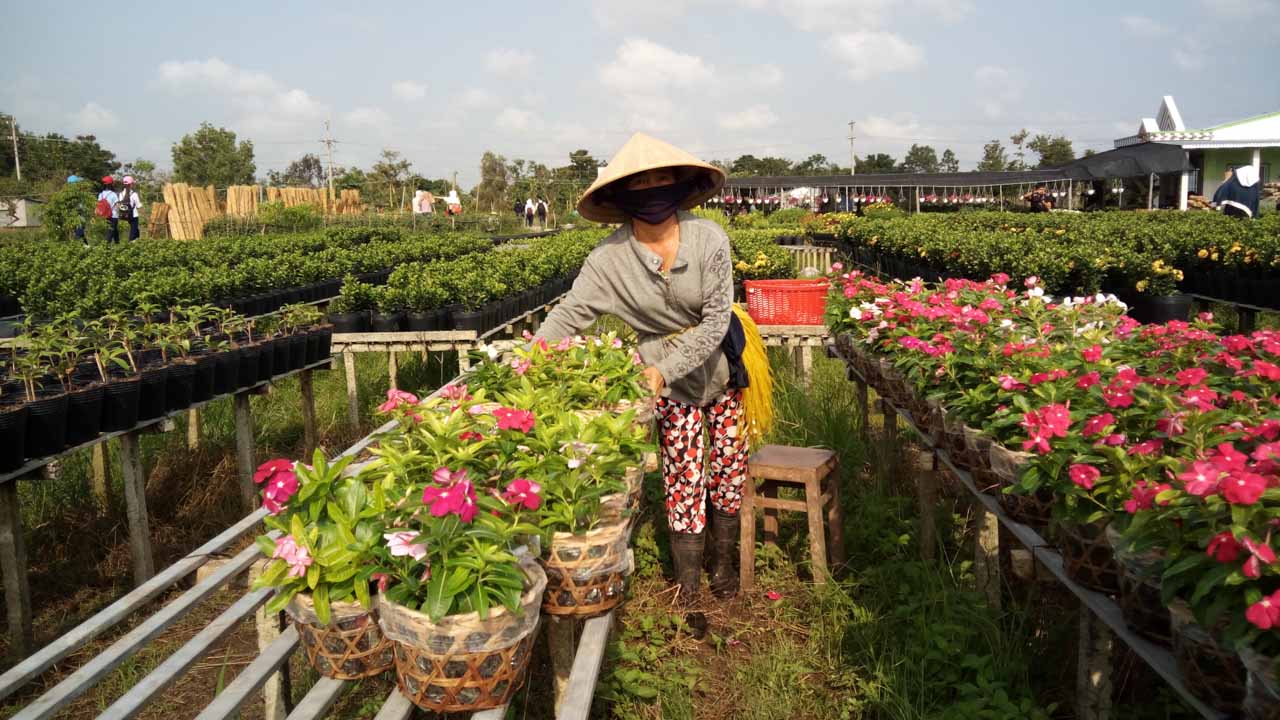 mobiistarprimexgrand18 mobiistarprimexgrand18