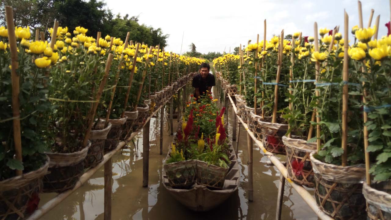 mobiistarprimexgrand20 mobiistarprimexgrand20