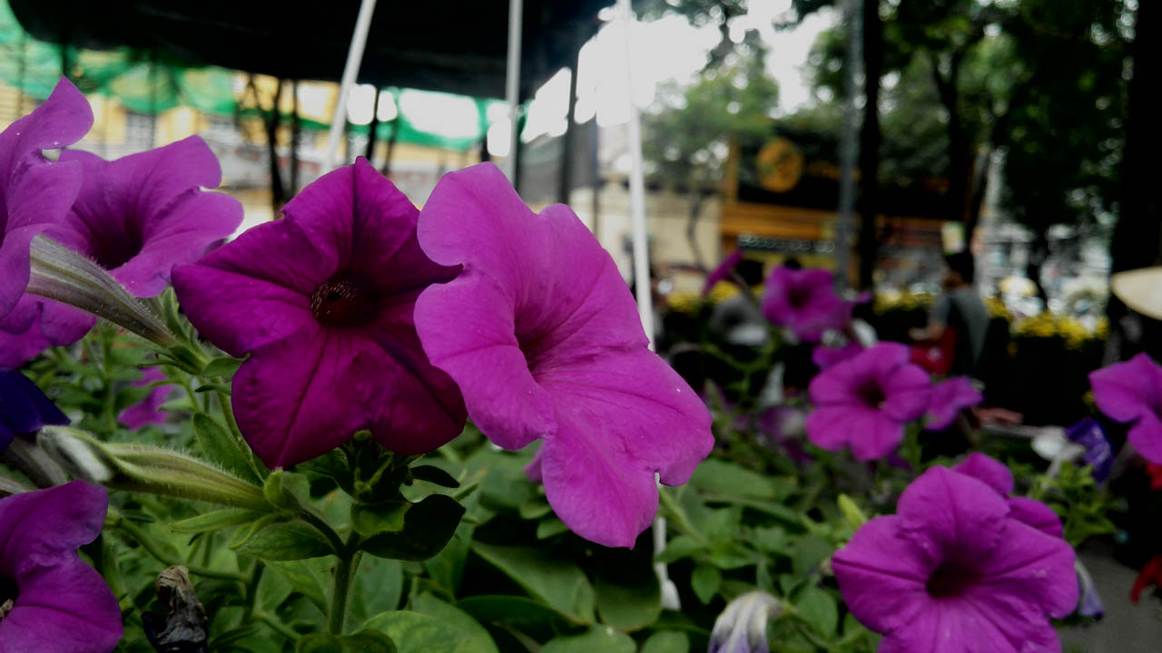 danh-gia-mobiistar-lai-yuna