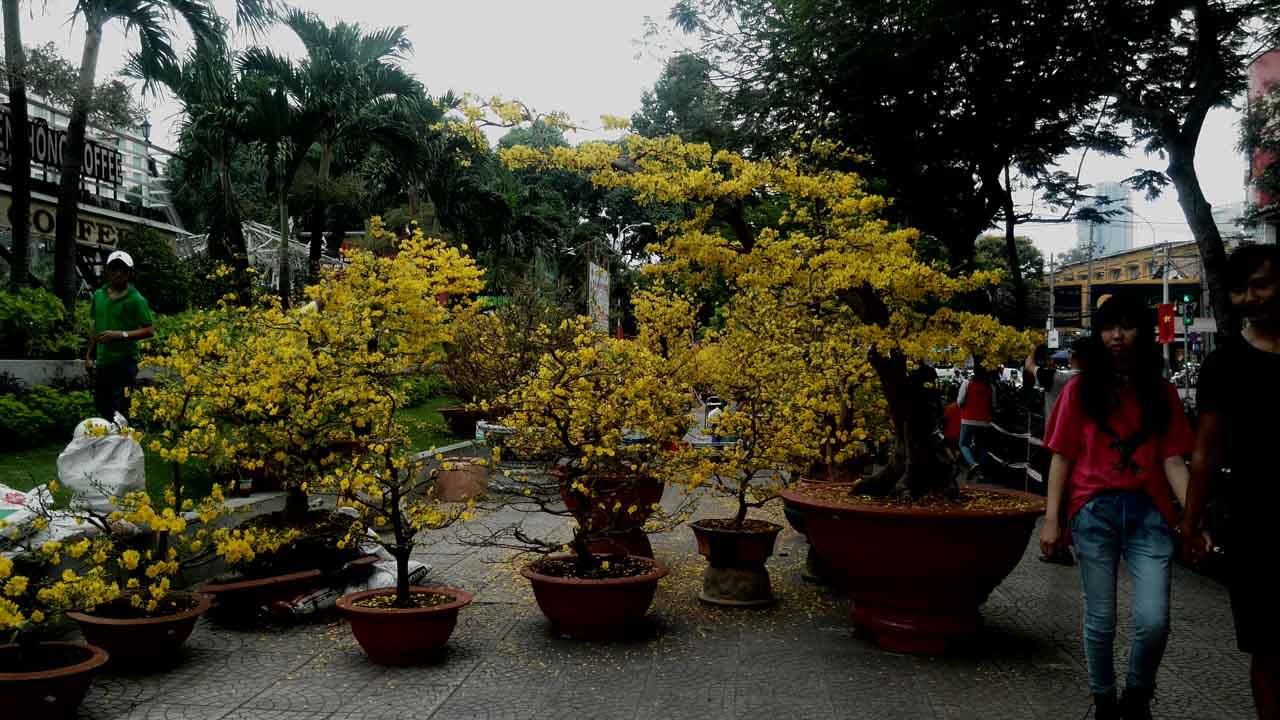 danh-gia-mobiistar-lai-yuna