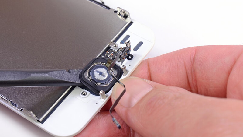 iPhone có thể thành iPhone có thể thành