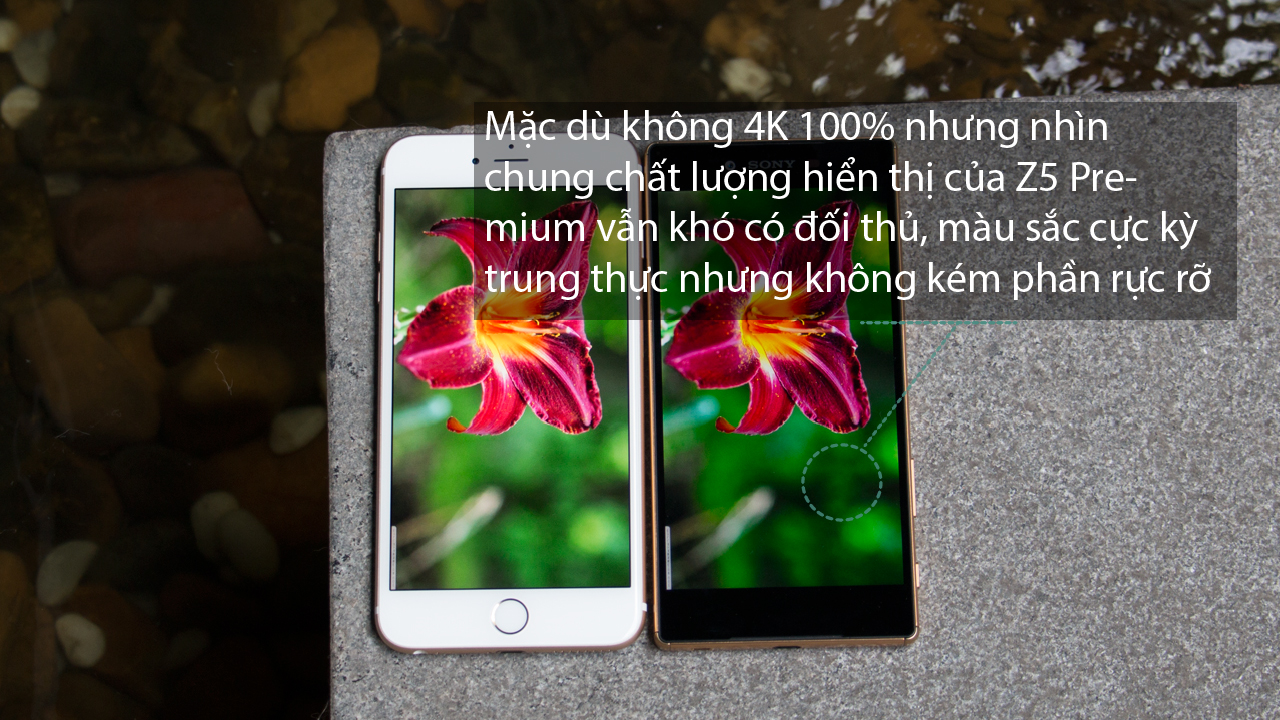 Màn hình Apple iPhone 6s Plus và Sony Xperia Z5 Premium Dual