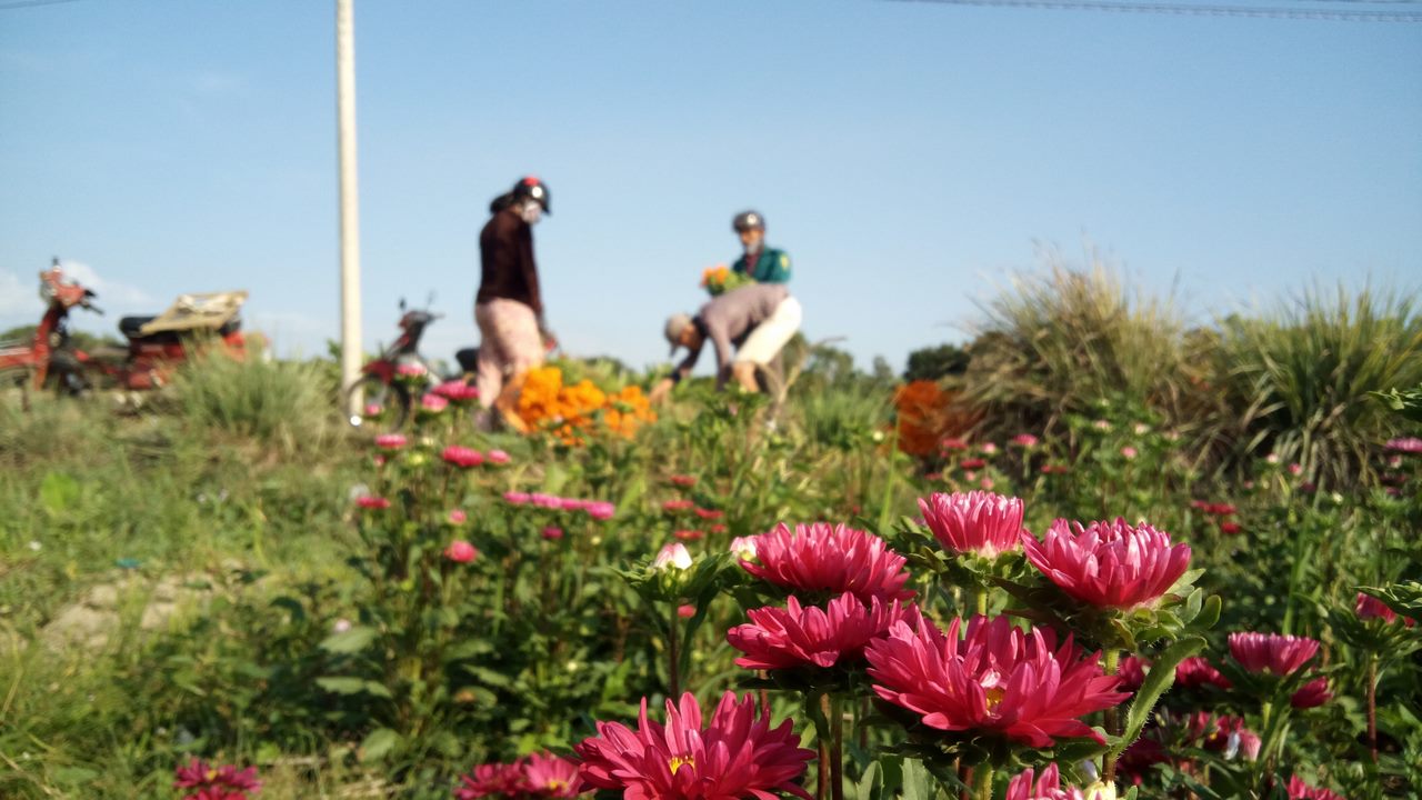 anhchuptumbsxgrand11copy anhchuptumbsxgrand11copy