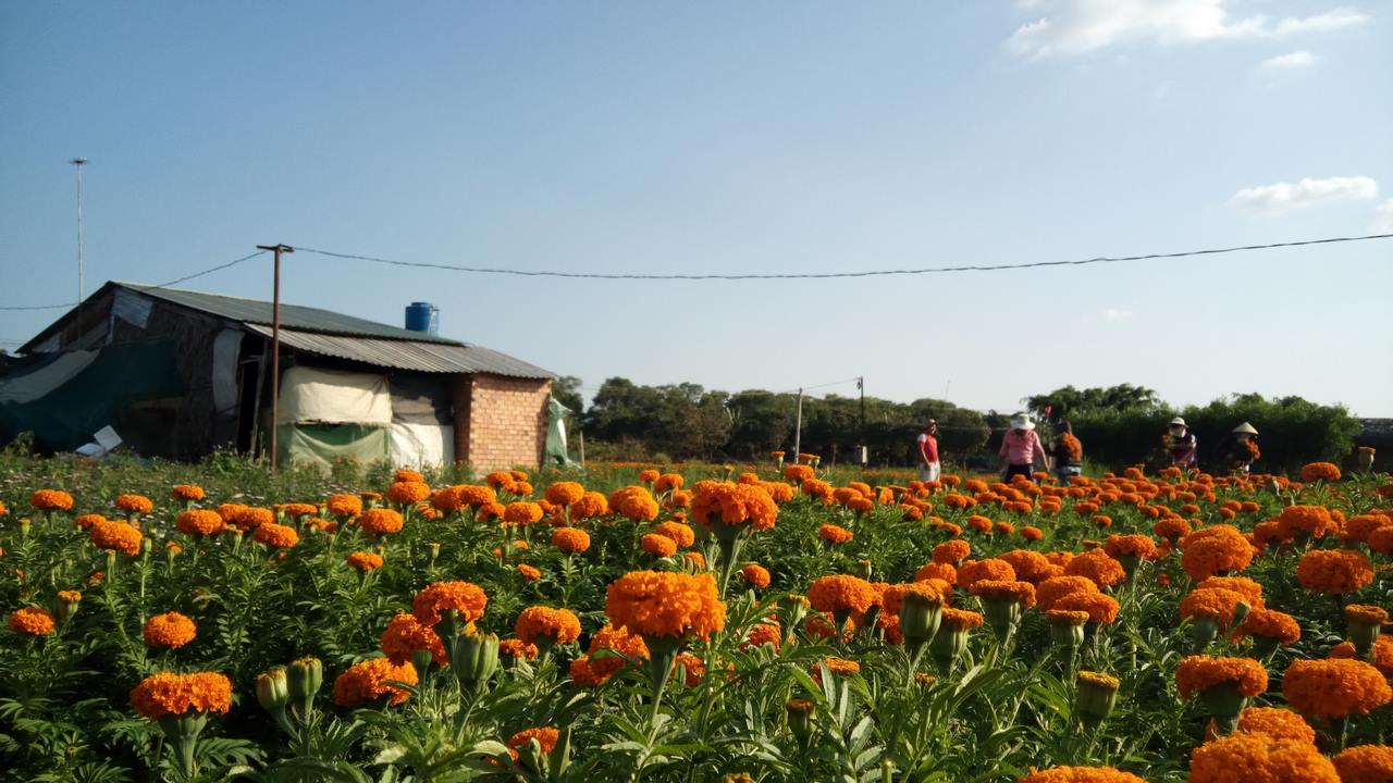 anhchuptumbsxgrand13copy anhchuptumbsxgrand13copy