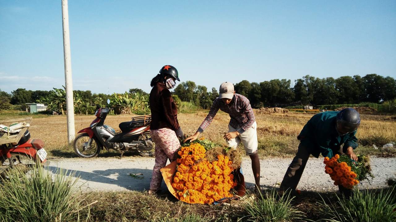 anhchuptumbsxgrand15copy anhchuptumbsxgrand15copy