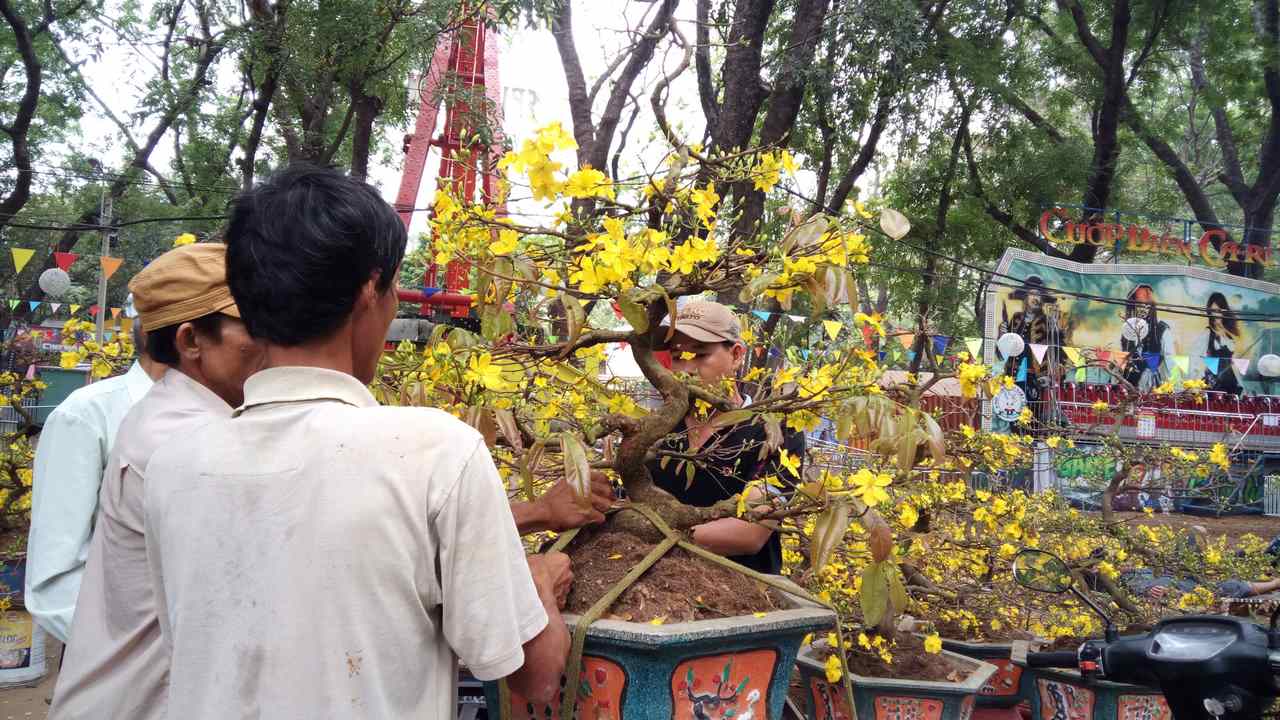 anhchuptumbsxgrand16copy anhchuptumbsxgrand16copy