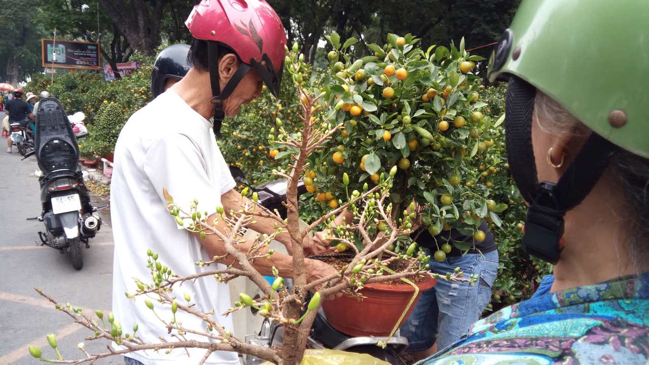 anhchuptumbsxgrand5copy anhchuptumbsxgrand5copy