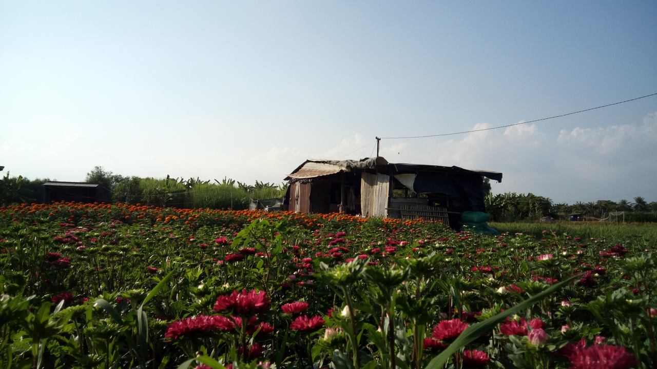 anhchuptumbsxgrand8copy anhchuptumbsxgrand8copy