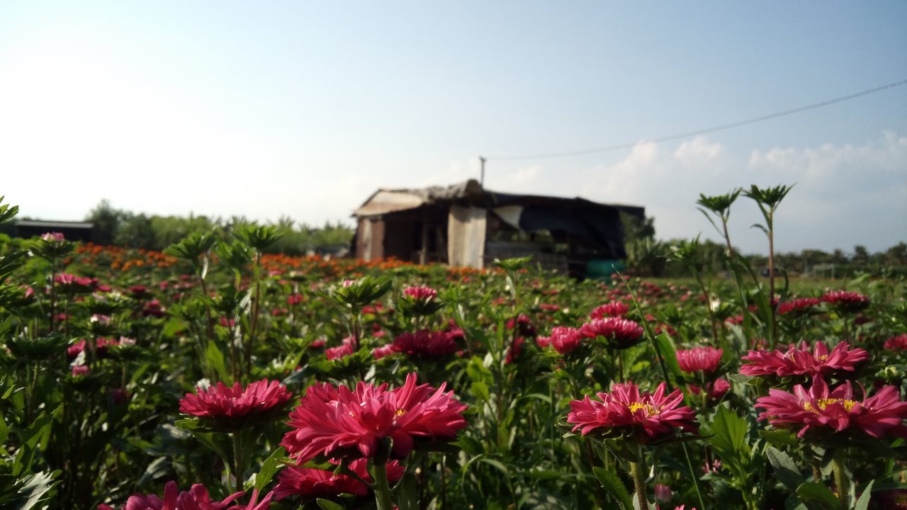 anhchuptumbsxgrand9copy anhchuptumbsxgrand9copy