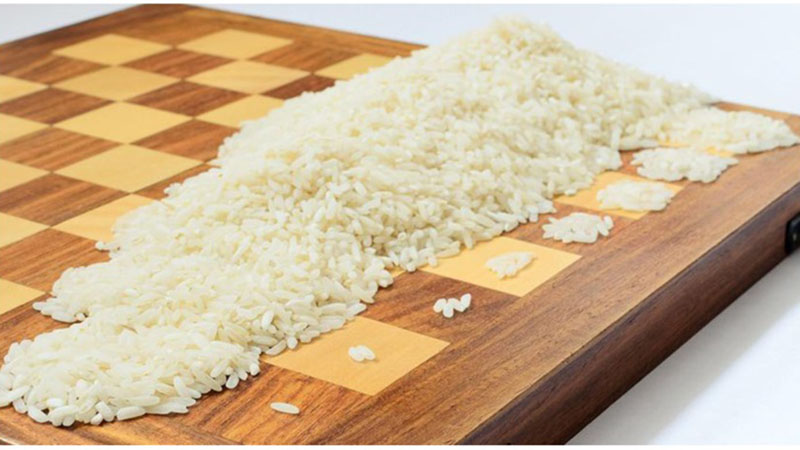 hạt gạo và bàn cờ hạt gạo và bàn cờ