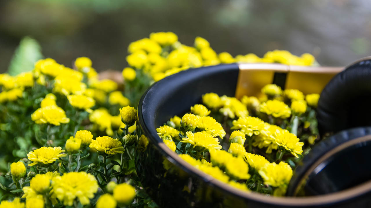 Kanen IP-2090 Kanen IP-2090