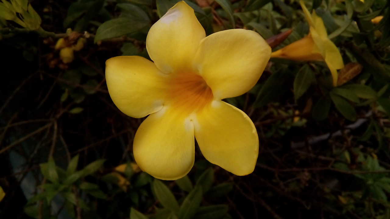 Ảnh chụp bằng S398 Ảnh chụp bằng S398