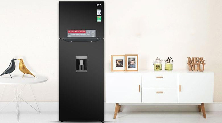 5 lý do nên mua tủ lạnh lấy nước ngoài cho gia đình > Tủ lạnh LG Inverter 315 lít GN-D315BL
