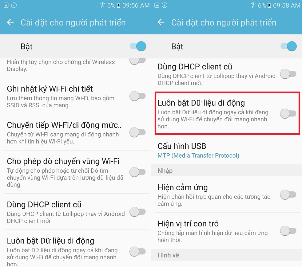 cactuychonnpt1 cactuychonnpt1