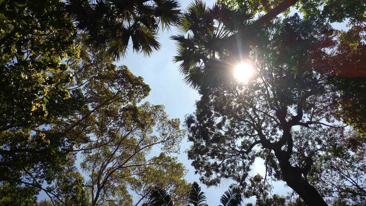 anhdusang12 anhdusang12