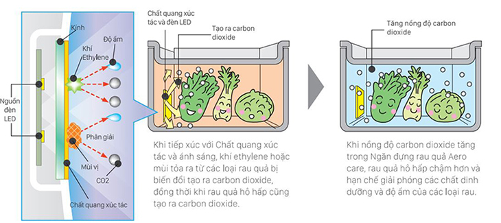 Công nghệ bảo quản Aero-Care.