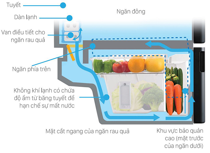 Thiết kế ngăn hiện đại cho việc lưu trữ và giữ ẩm thực phẩm dễ dàng hơn.