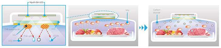 Sử dụng chất quang xúc tác và ánh sáng từ đèn Led tạo môi trường lưu trữ thực phẩm tối ưu