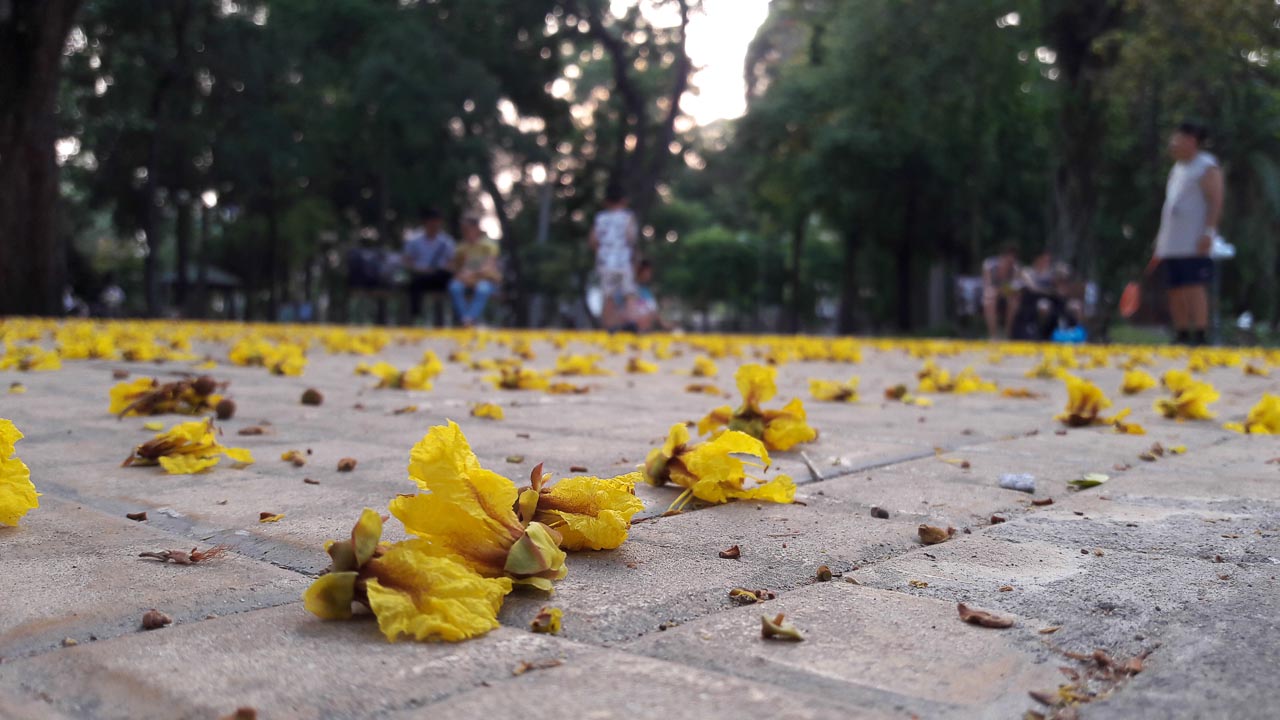 Reviews Galaxy A3 2016 8 Reviews Galaxy A3 2016 8