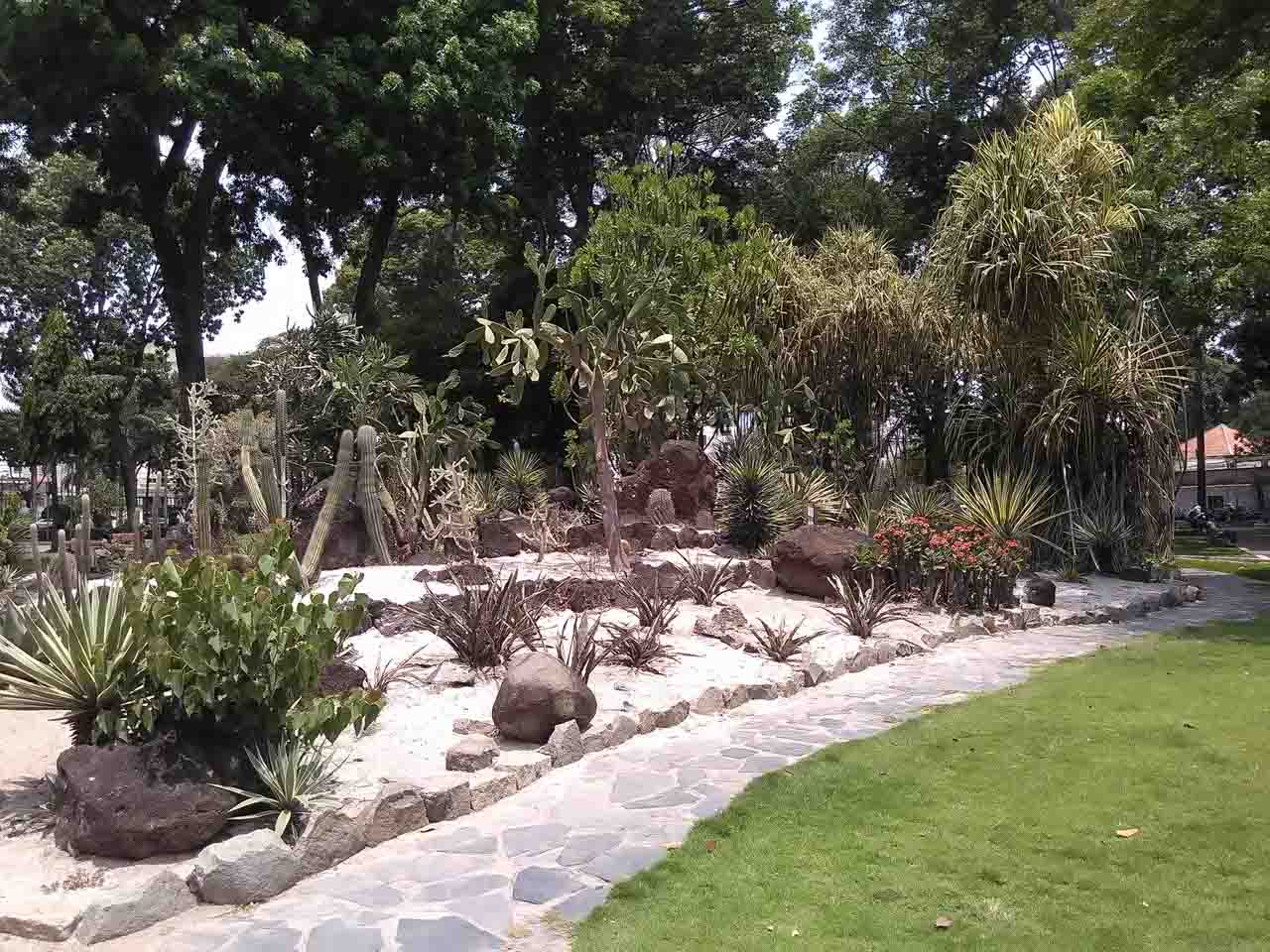 obi-mv1-camera obi-mv1-camera