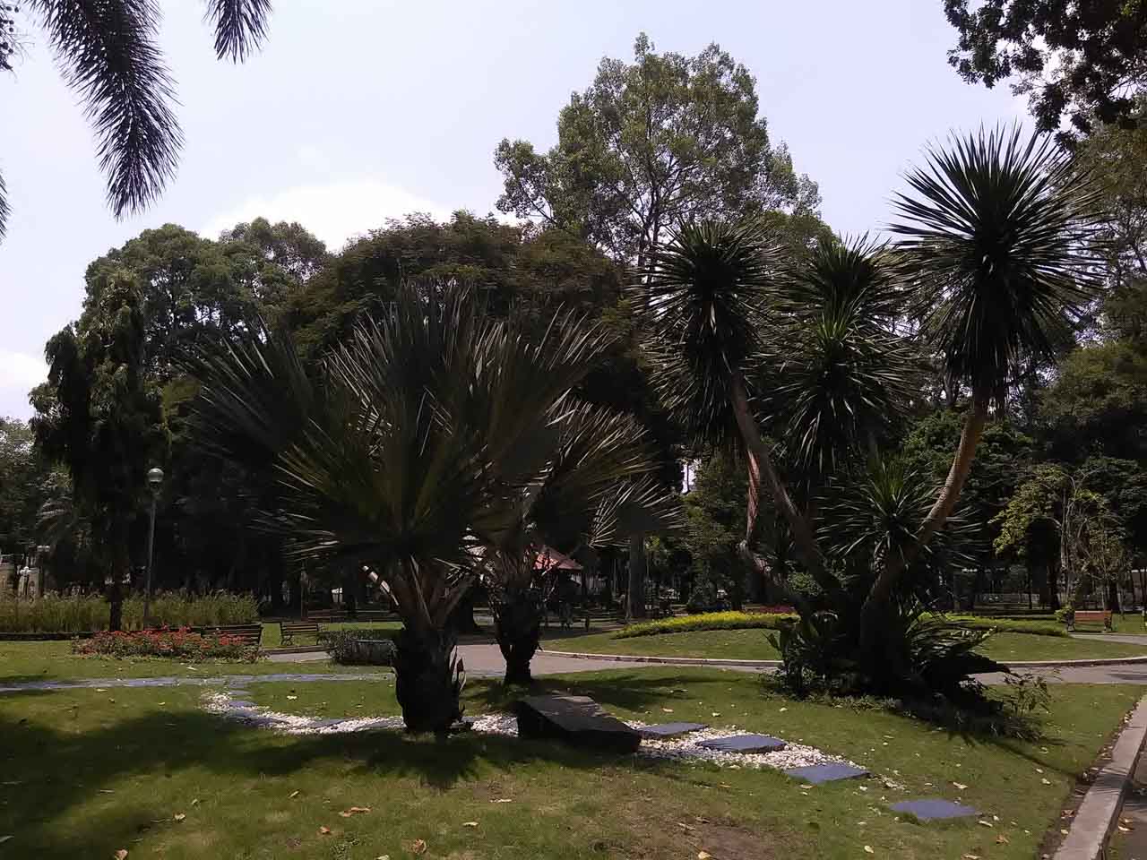 obi-mv1-camera obi-mv1-camera