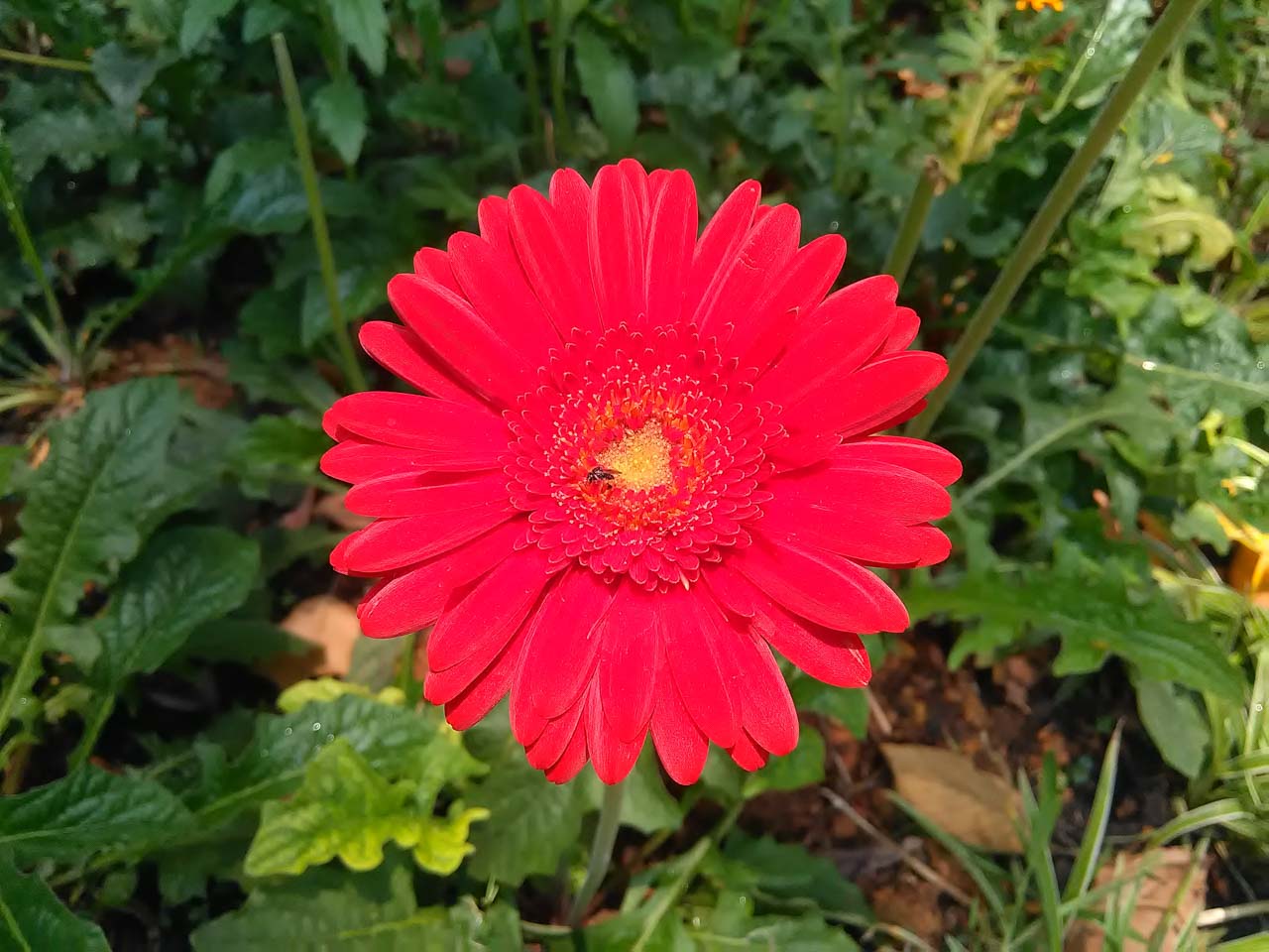 obi-mv1-camera obi-mv1-camera