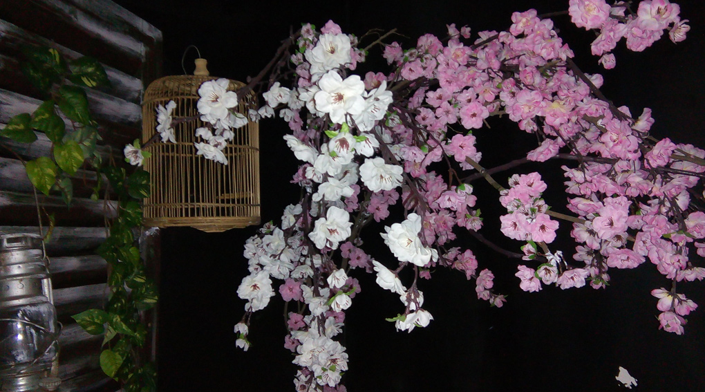 Ảnh chụp thiếu sáng của HTC Desire 620G