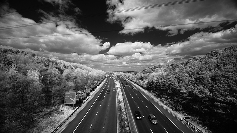 Ảnh monochrome Ảnh monochrome