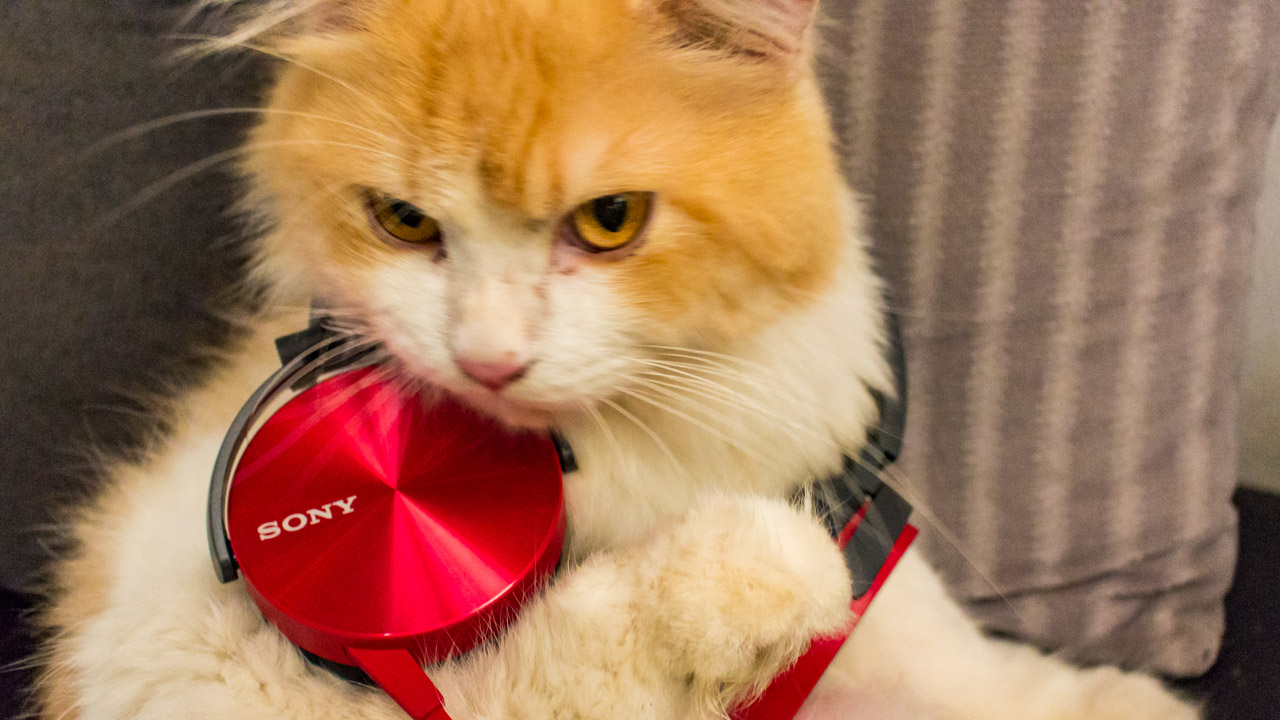 sony-mdr450 sony-mdr450