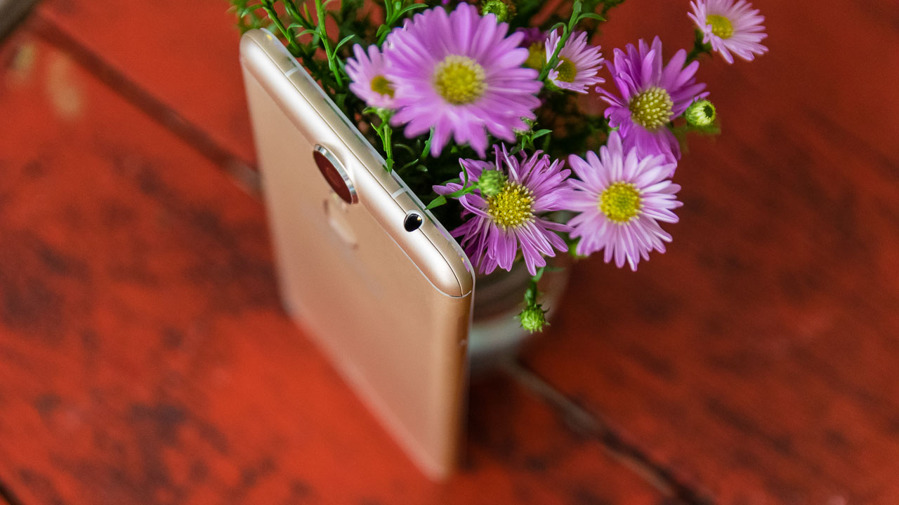 primexmax8 primexmax8