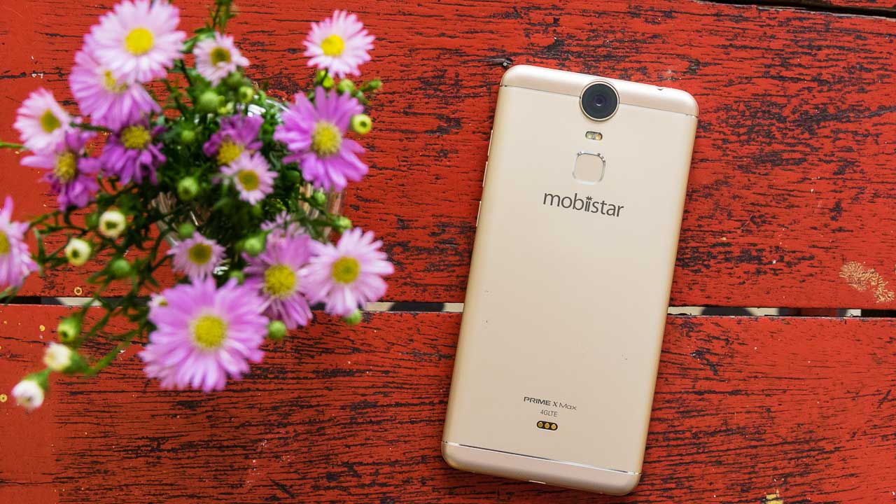 primexmaxgallery1 primexmaxgallery1