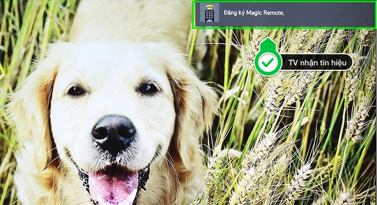 Magic Remote LG 2016 - Tivi đang nhận tín hiệu kết nối từ remote