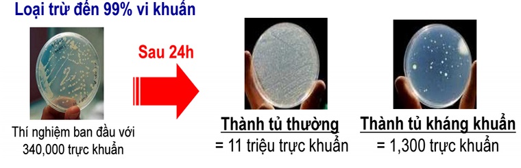 Thành tủ kháng khuẩn phân tử bạc