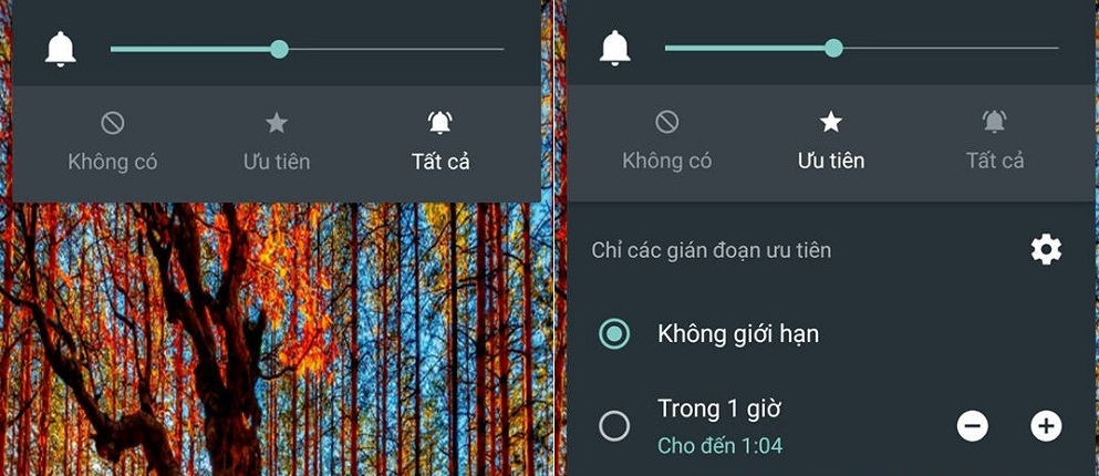 kolamphien kolamphien