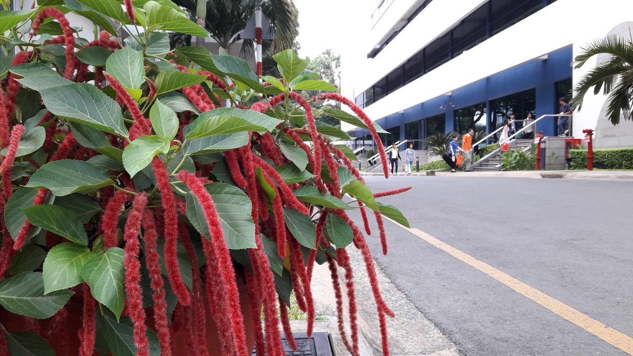 anhchuptucameragalaxyj720163 anhchuptucameragalaxyj720163