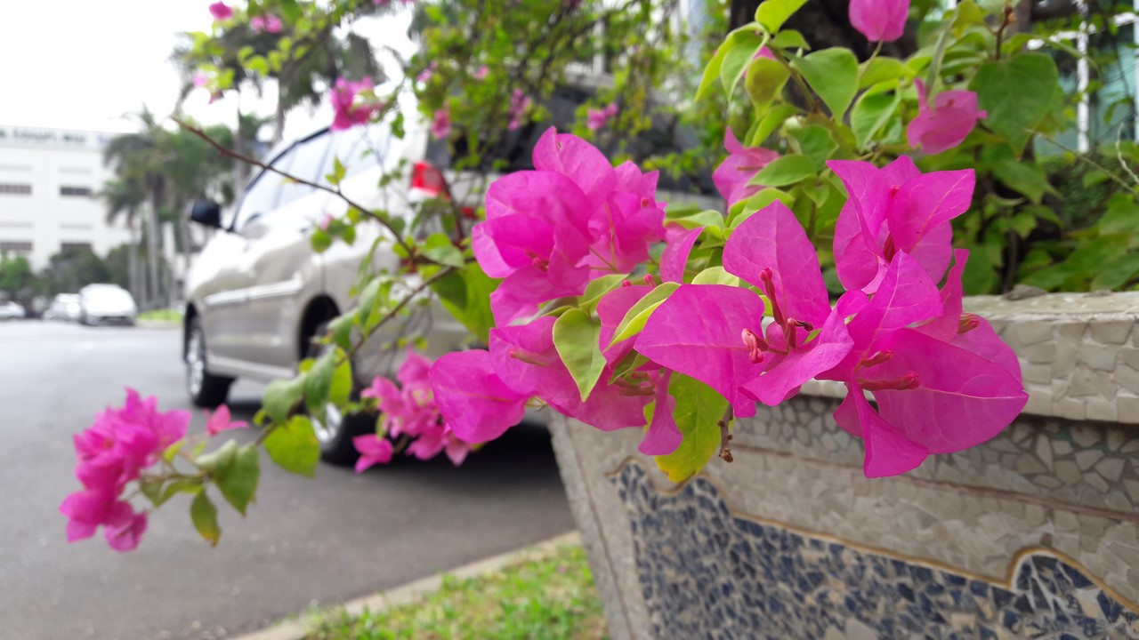 anhchuptucameragalaxyj720163 anhchuptucameragalaxyj720163