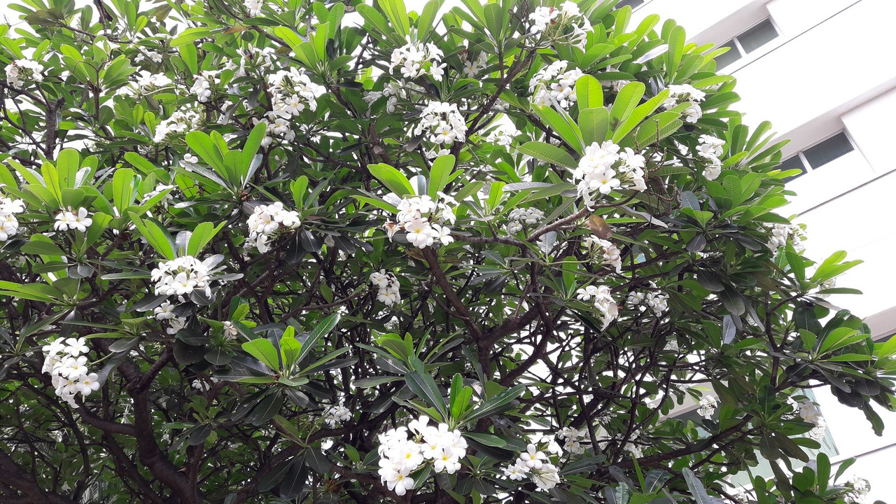 Dyanamic Range Dyanamic Range